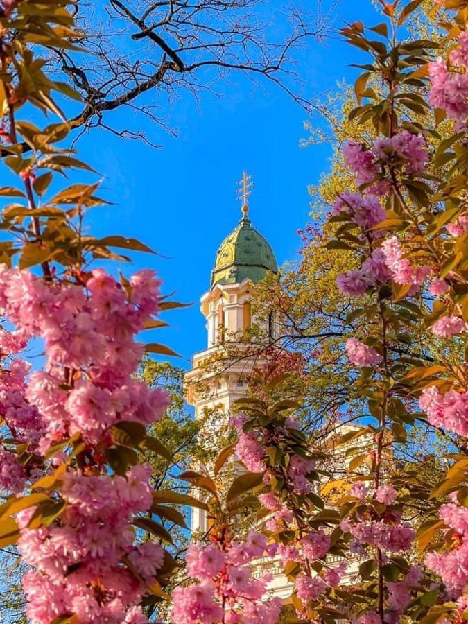 Старовинні Апартаменти У Центрі Міста Ujhorod Exterior foto